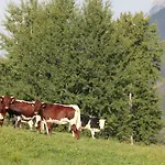 Ennsling